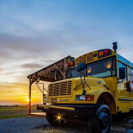 American School Bus - 1 Bedroom - Blossom Farm - Tiers Cross Johnston Dış mekan fotoğraf