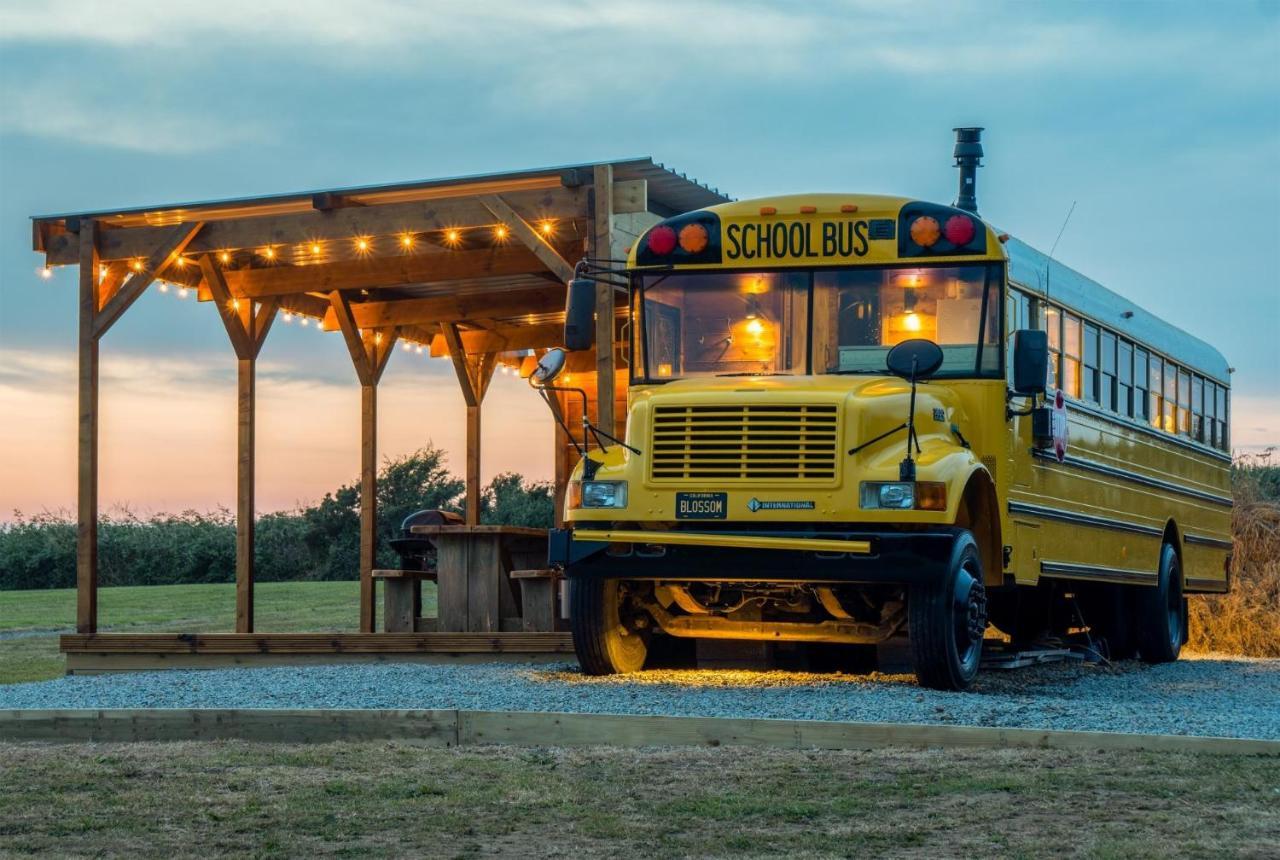 American School Bus - 1 Bedroom - Blossom Farm - Tiers Cross Johnston Dış mekan fotoğraf