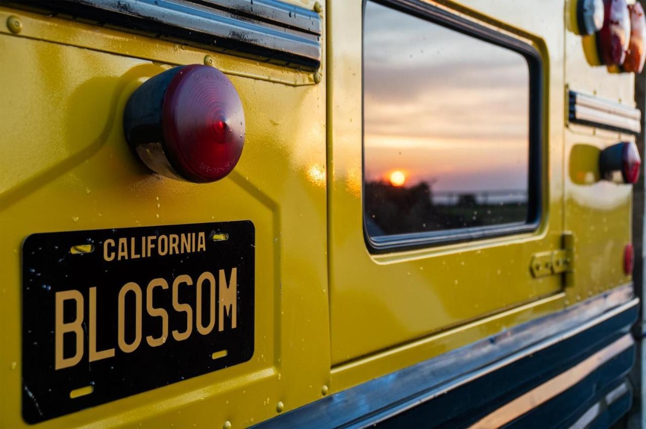 American School Bus - 1 Bedroom - Blossom Farm - Tiers Cross Johnston Dış mekan fotoğraf